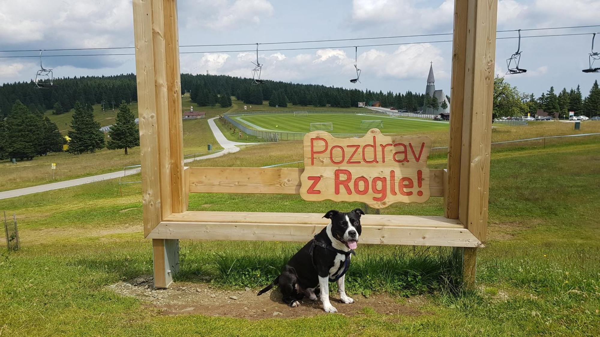 Rogla Apartma Kekec Apartment Zrece Bagian luar foto