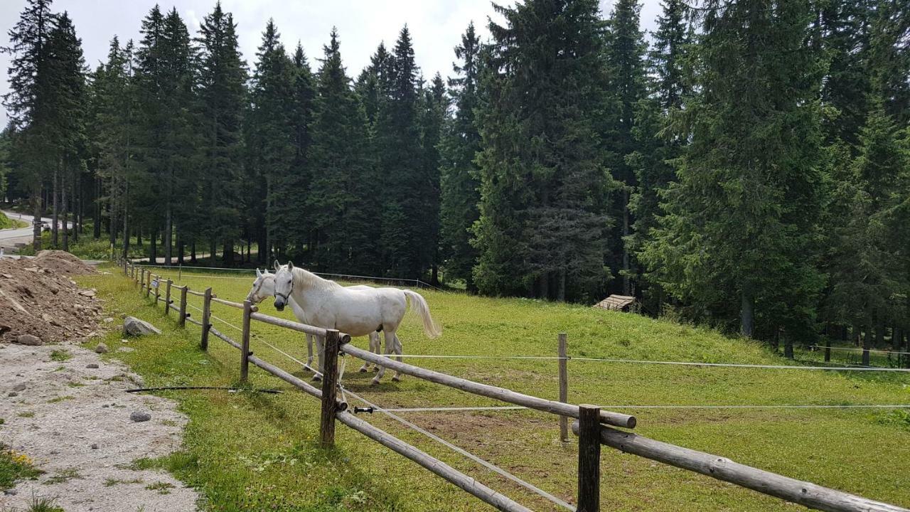 Rogla Apartma Kekec Apartment Zrece Bagian luar foto